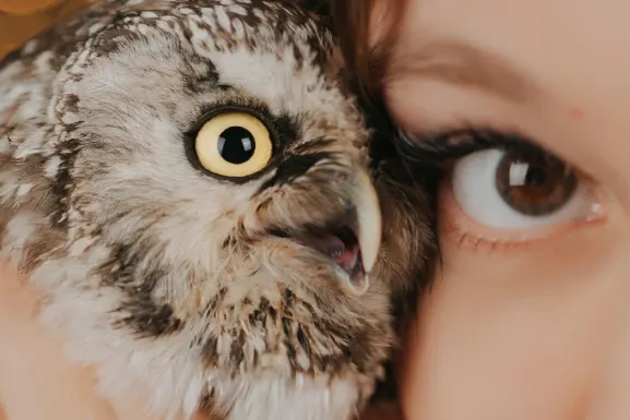 PlayHub Kazino Pagalba